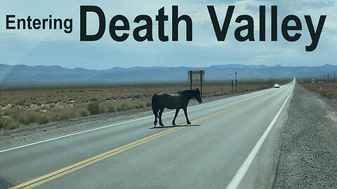 FIOTM 81 - Surviving Death Valley: Windy Roads, Deserted Landmarks, and Hidden Histories