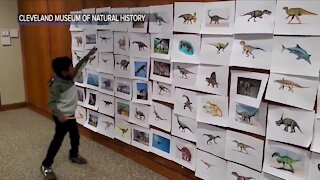 4-year-old sets 2 world records after naming 71 dinosaurs in less than a minute