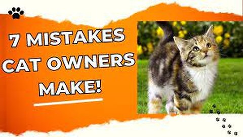7 Mistakes Cat Owners Make