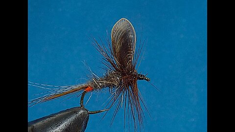 The Best Origami is From Miami and March Brown Fly Blues Is In Anglers Boots