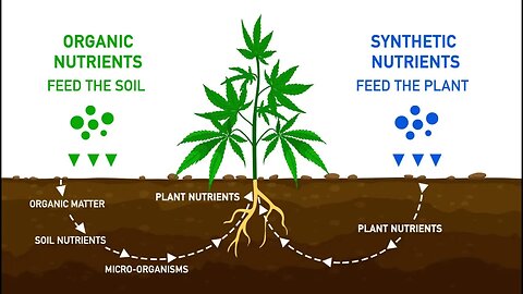 Organic vs Synthetic Nutrients! Which one should you use and why?