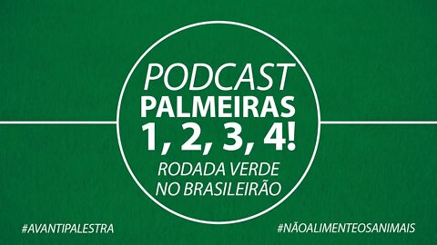 PALMEIRAS CRESCE NO CAMPEONATO BRASILEIRO. #PALMEIRAS #PAULOMASSINI