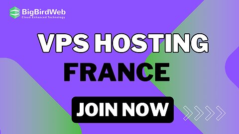 VPS Hosting in France #vpshosting #france #bigbirdweb
