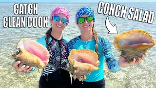 Free Diving in The Bahamas for Queen Conch - Catch Clean Cook