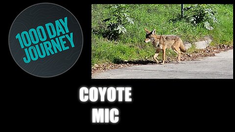1000 Day Journey 0189 Coyotes and Microphones