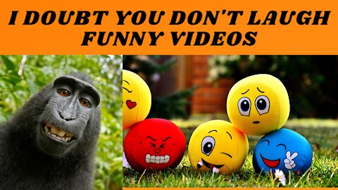 I DOUBT YOU DON'T LAUGH FUNNY VIDEOS