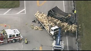 Semi truck hauling corn involved in crash