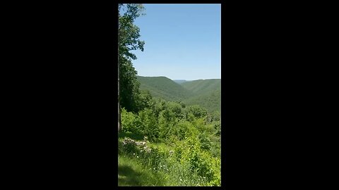 Pennsylvania Wilds Vista - Square Timber - Land of the Endless Mountains #shorts