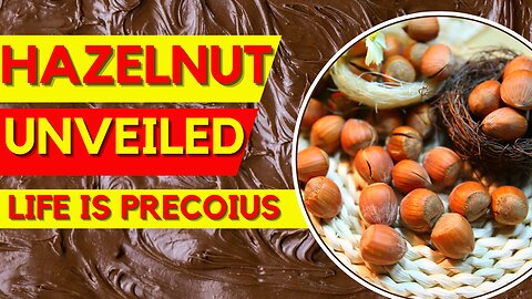 Hazelnuts Unveiled : A Nutrient-Rich Journey to a Healthier You | Healthy Life With Maani