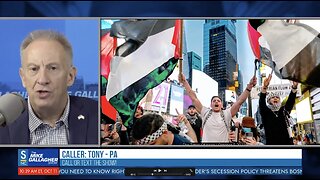 Who Can Defend Pro Palestine demonstrations in America?