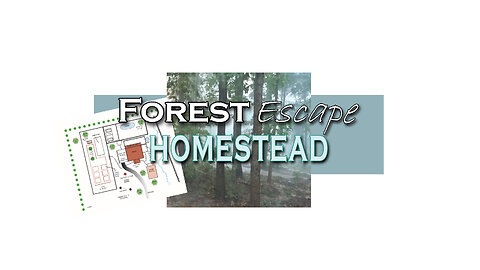 Forest Escape Homestead Beating the Rain, Wrong Chicken Feed, Nighttime Spiders