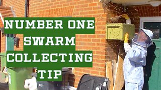 About Beehive Yourself | The Number One Swarm Collecting Tip