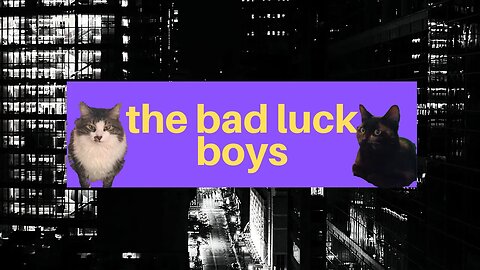 The Best Of The Bad Luck Boys