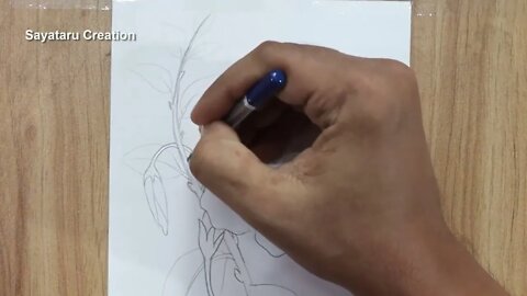 How to draw a hibiscus flower step by step pencil sketch