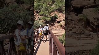 Zion National Park | August 2022