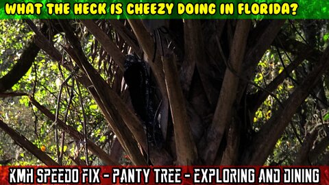 (S6 E2) Vitacci Raven Speedo fix! Some exploring and the PANTY TREE, Crumps. Get the keytag!!