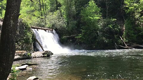 Abrams Falls water fall