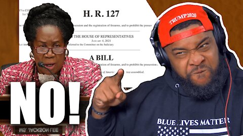 PROOF H.R. BILL127 IS A NIGHTMARE FOR AMERICA