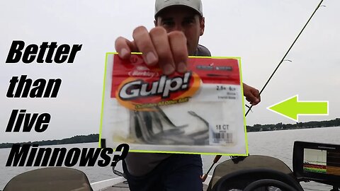 Crappie Fishing with Live Minnows VS. Berkley Gulp Minnows (30 Day Challenge EP.3)