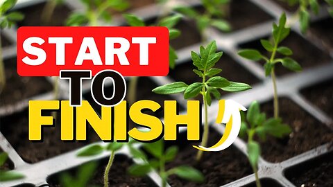 How To Start Garden Seeds At Home. Starting Seeds For Beginners!