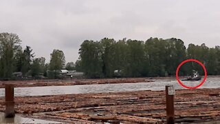 Amazing small tug boat pulling massive logs with ease, another seems to be riding on the logs.