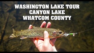 Canyon Lake Whatcom County ! High Lakes Washington Lake Tour!!! Cutthroat trout caught!