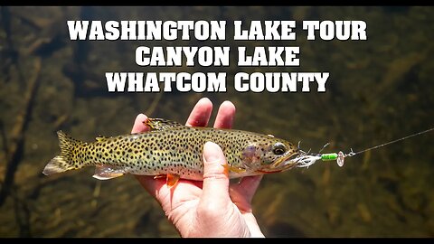 Canyon Lake Whatcom County ! High Lakes Washington Lake Tour!!! Cutthroat trout caught!