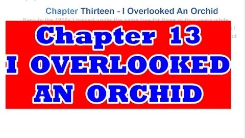 Chapter 13 I overlooked An Orchid