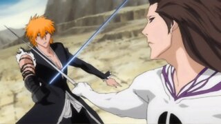 Bleach Blu-ray Set 12 (Episodes 309-337) - Anime Review