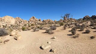 Hidden Valley Trail in Joshua Tree National Park