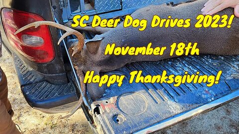 SC Deer Dog Drives 2023! 11-18... Awesome Hunt!