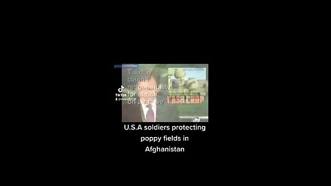 soldiers protecting poppy fields