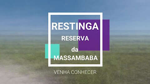 🌵🐜🦎🦉🌵Reserva da Massambaba -Travessia do Manguezal