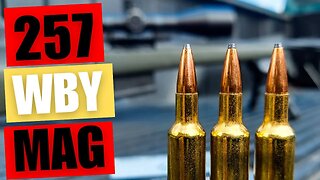 257 WBY MAG - First Shots and Sighting In [Weatherby Model 307 Range XP]