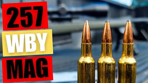257 WBY MAG - First Shots and Sighting In [Weatherby Model 307 Range XP]