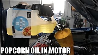 What Happens If You Put Vegetable Oil In Your Engine? (You Won't Believe It!)