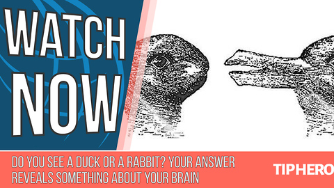 Do You See A Duck Or A Rabbit? Your Answer Reveals Something About Your Brain