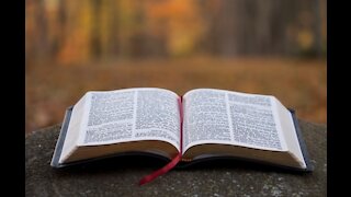 Catholic university students complain about having to read the Bible