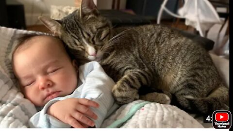 Baby kitten Play with cute boy // they sleep together