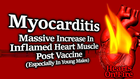 HEARTS IN FLAMES: Numerous Myocarditis Studies Showing Extreme Risk For Young Men