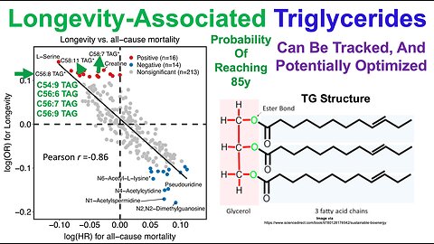 Longevity-Associated Triglycerides