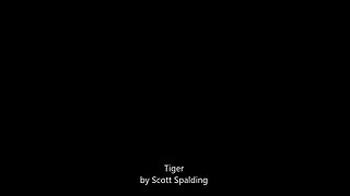 Tiger - Scott Spalding