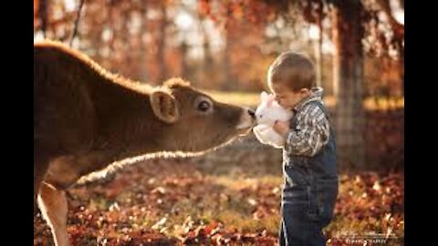 Funny KIDS and ZOO ANIMALS are WAY FUNNIER!