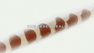 7 seals have they started to open