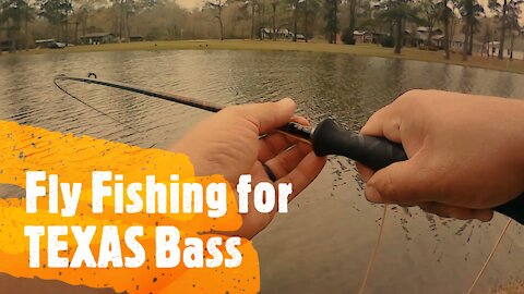 Fly Fishing for Texas Pond Bass
