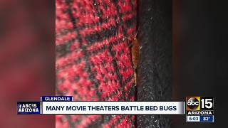 Valley movie theaters battle bed bugs