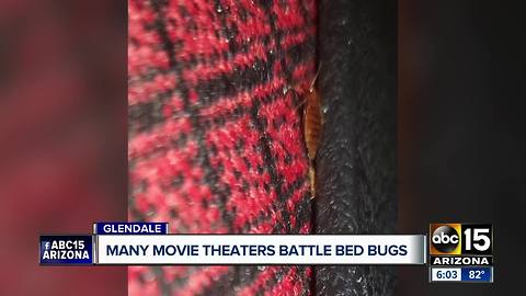 Valley movie theaters battle bed bugs