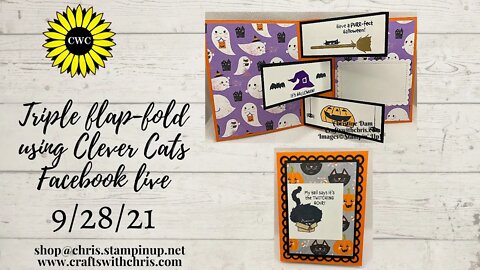 Make this Triple Fun Fold Card using Clever Cats from Stampin' Up!
