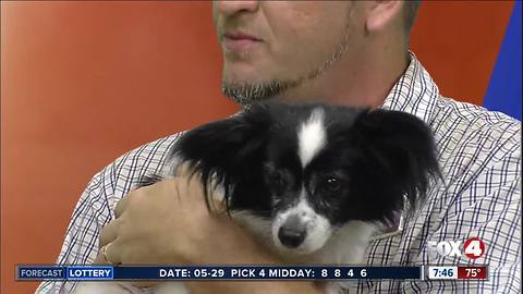 Pet of the week: Mimi