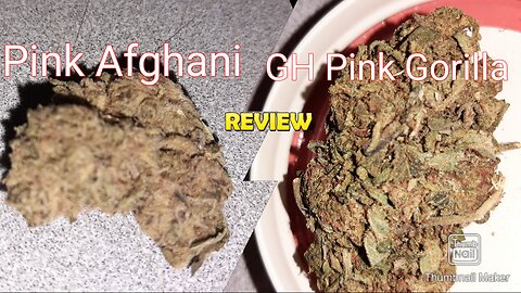 S5 Episode 10 Pink Afghani + Pink Gorilla Strain Review